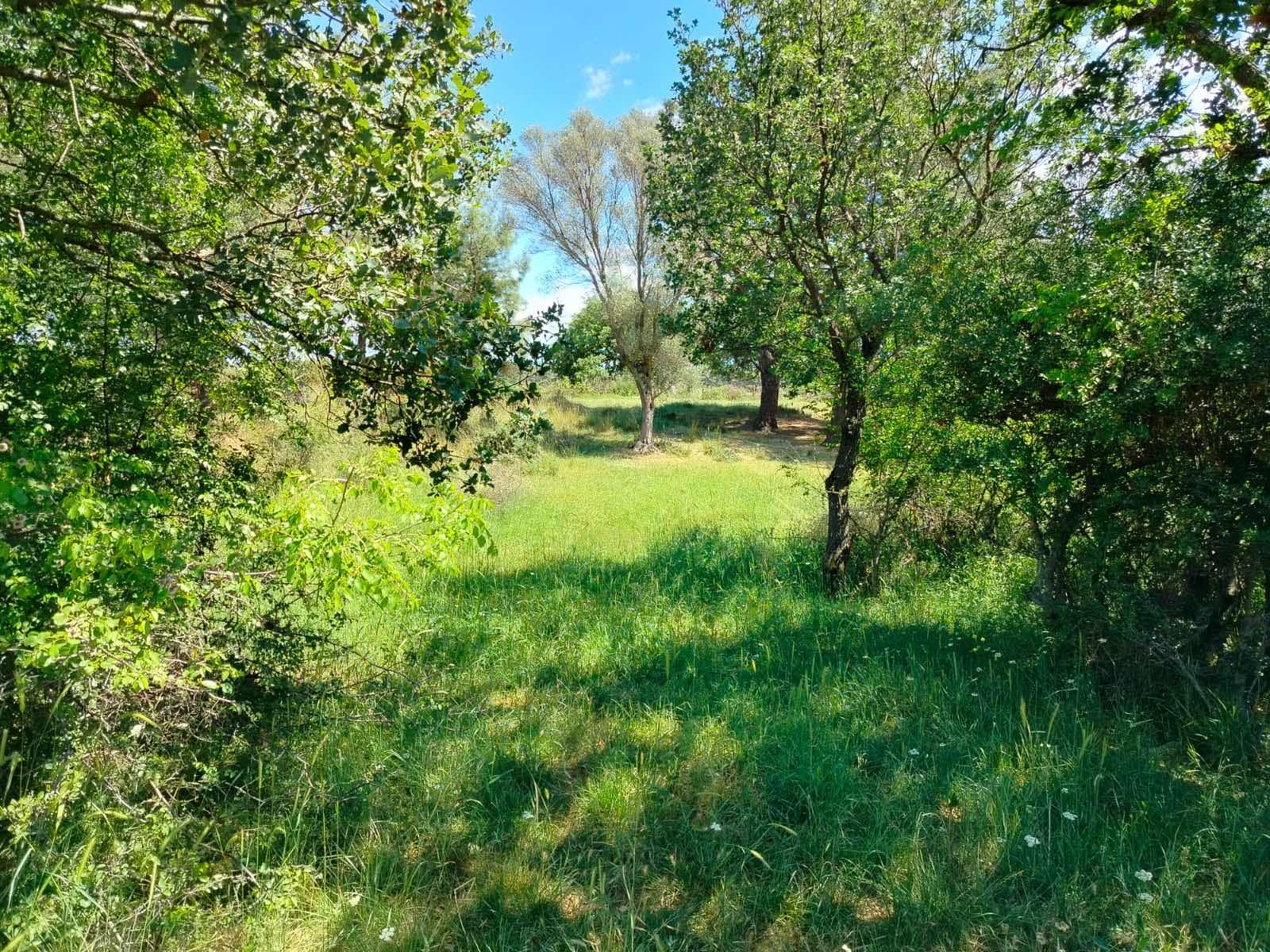 Çanakkale Bayramiç zeytinli köyü 7737 metre² tarla