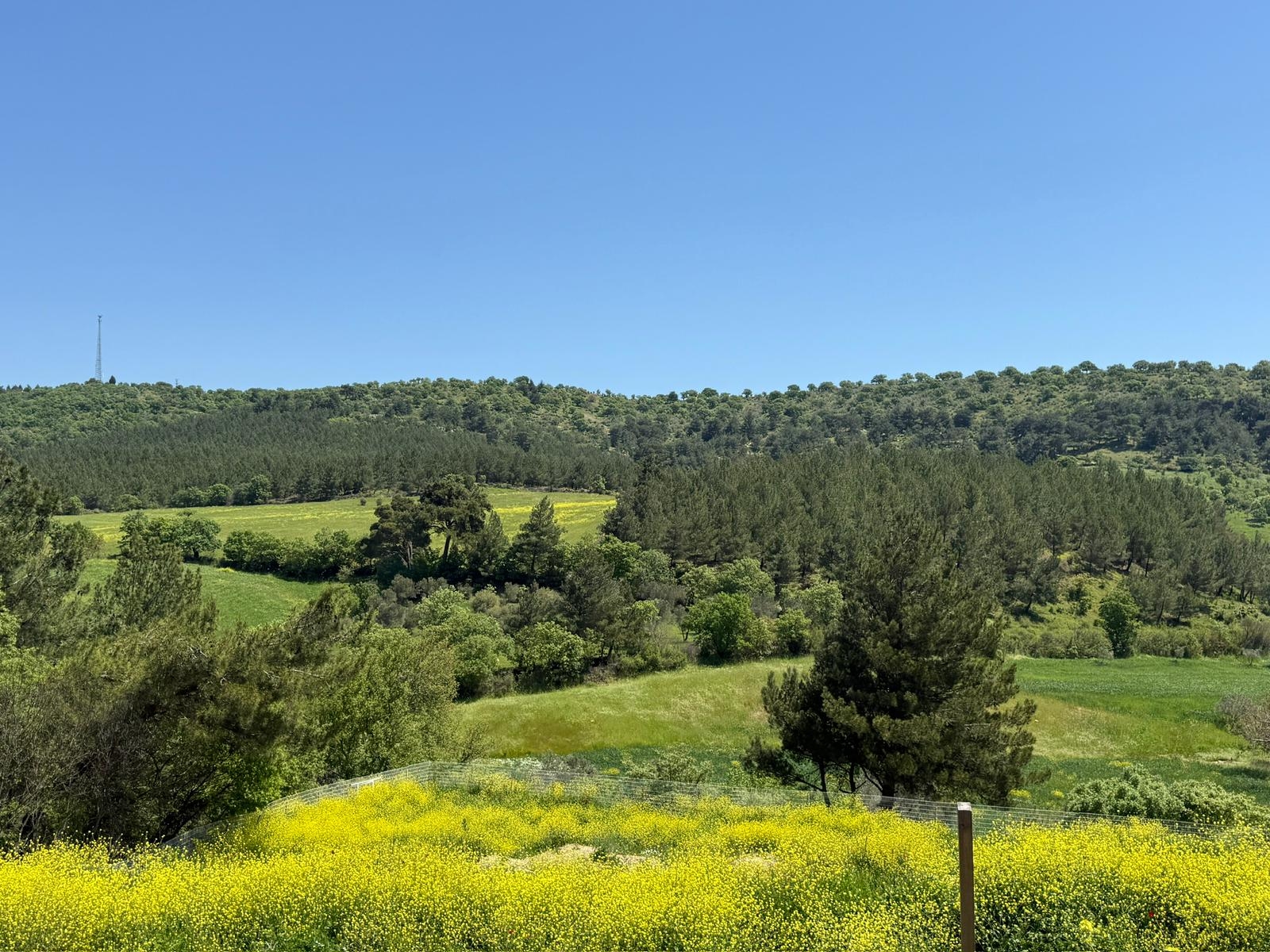 BERGAMA ÇELTİKÇİ MAH. SATILIK LÜKS YAPI FIRSAT ÇİFTLİK